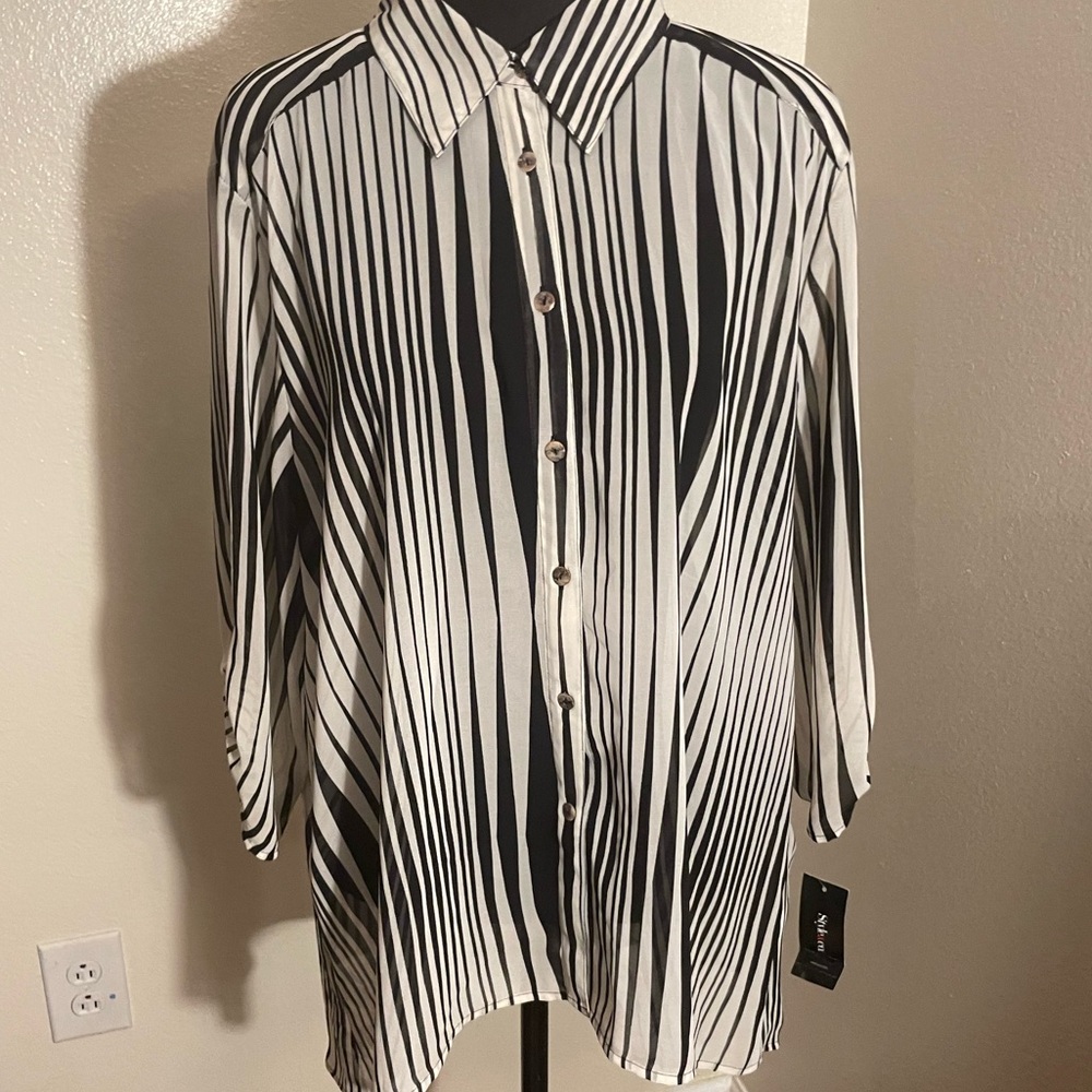 Sheer blouse
